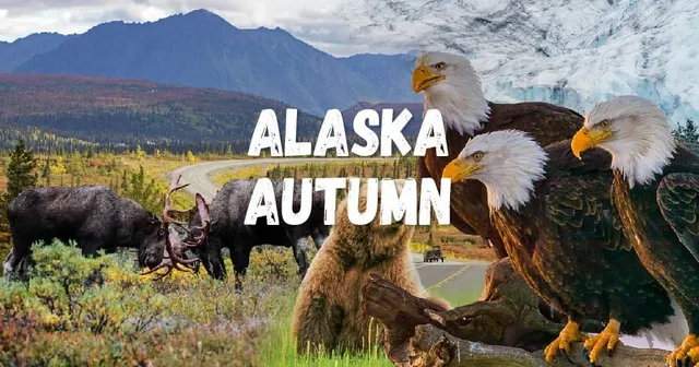 อลาสก้า (Alaska)