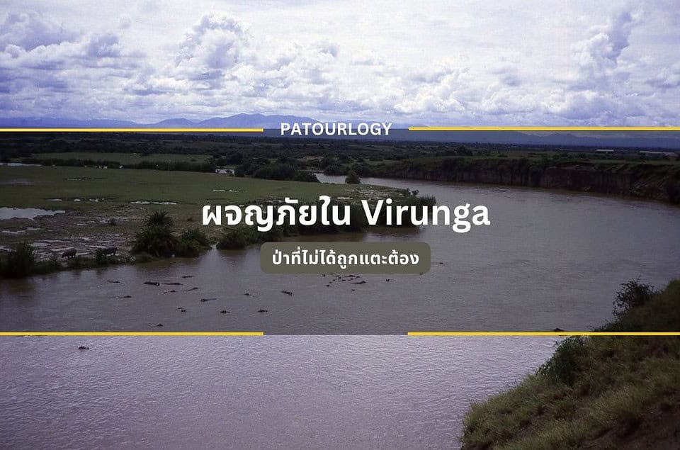 ผจญภัยใน Virunga ป่าที่ไม่ได้ถูกแตะต้อง