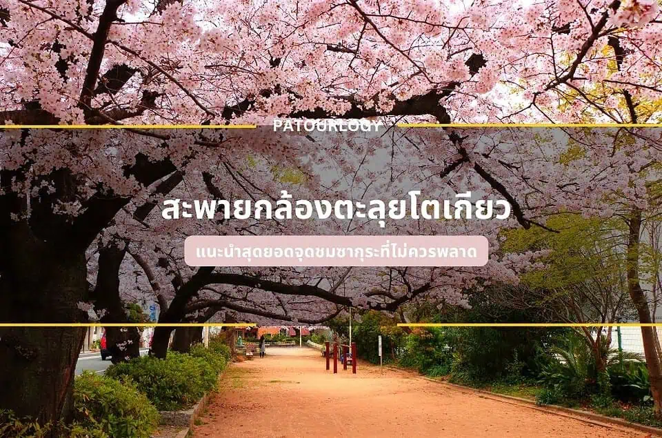 สะพายกล้องตะลุยโตเกียว แนะนำสุดยอดจุดชมซากุระที่ไม่ควรพลาด