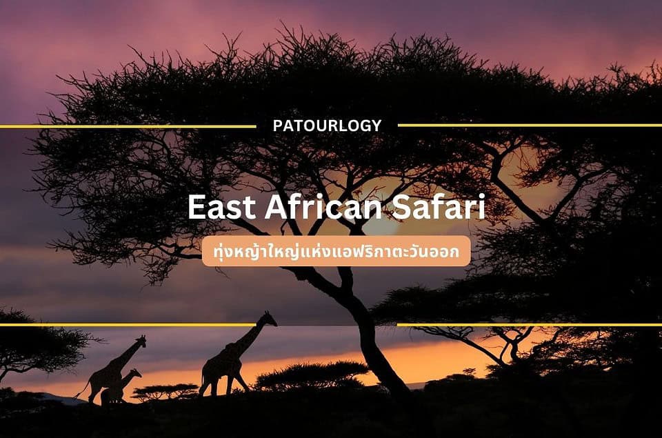 ทุ่งหญ้าใหญ่แห่งแอฟริกาตะวันออก East African Safari