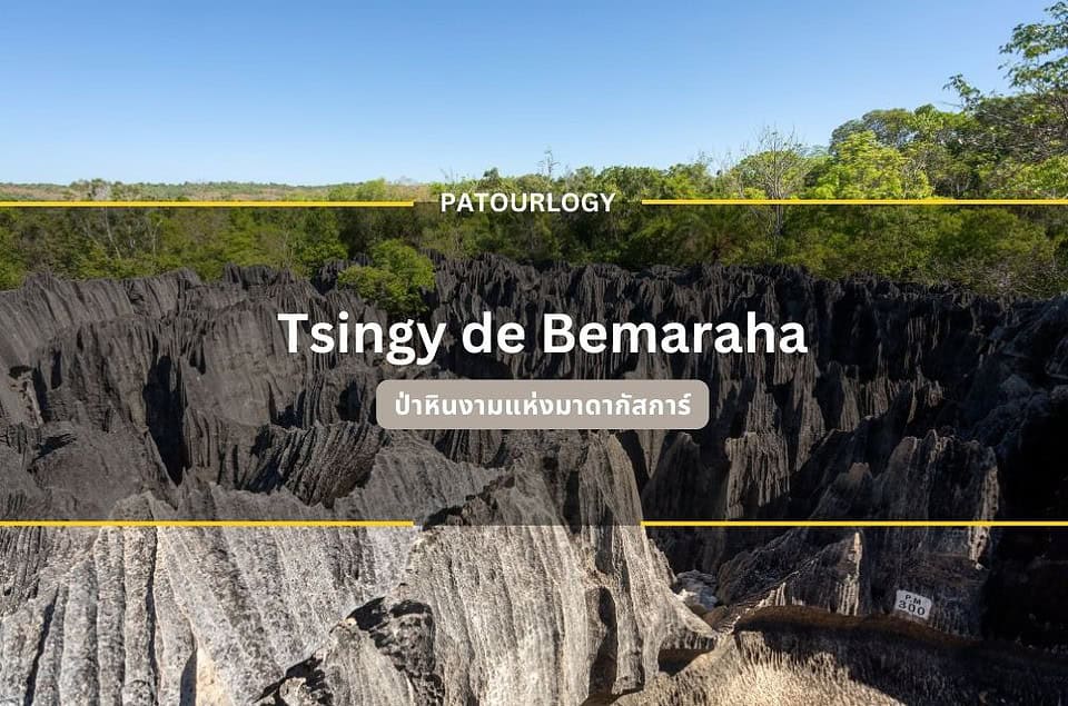 ป่าหินงามแห่งมาดากัสการ์ Tsingy de Bemaraha