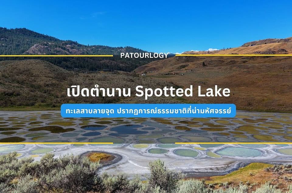 เปิดตำนาน Spotted Lake ทะเลสาบลายจุด ปรากฏการณ์ธรรมชาติที่น่ามหัศจรรย์