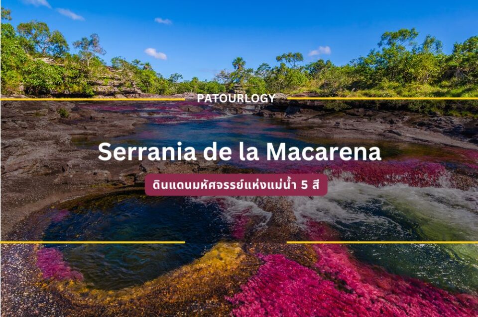 Serrania de la Macarena ดินแดนมหัศจรรย์แห่งแม่น้ำ 5 สี