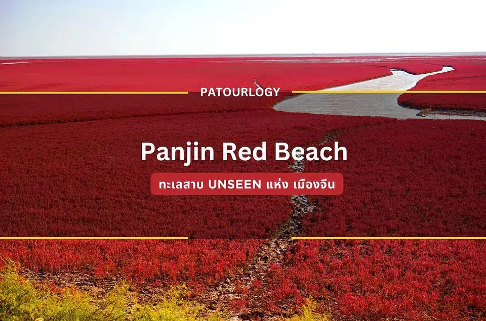 ความงามสีแดงของ Panjin Red Beach ทะเลสาบ Unseen แห่ง เมืองจีน