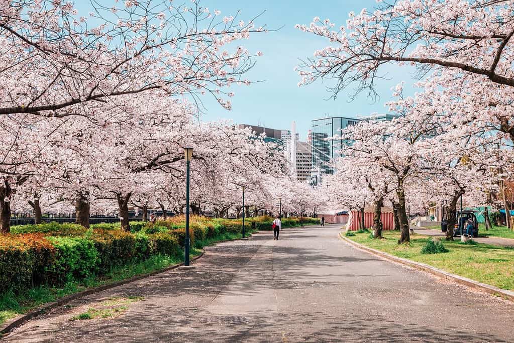 ประเทศที่น่าเที่ยวที่สุดในโลก