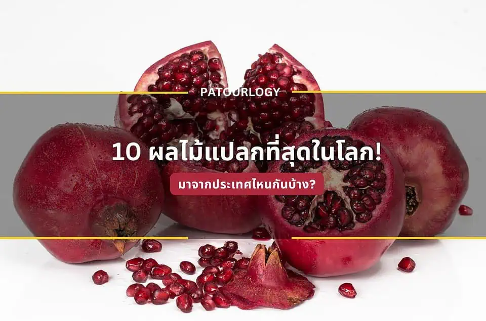 10 ผลไม้แปลกที่สุดในโลก! มาจากประเทศไหนกันบ้าง?