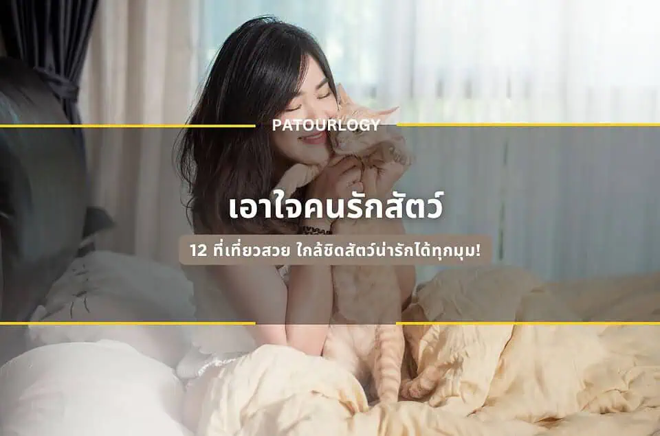 12 ที่เที่ยวสวย เอาใจคนรักสัตว์ ใกล้ชิดสัตว์น่ารักได้ทุกมุม!